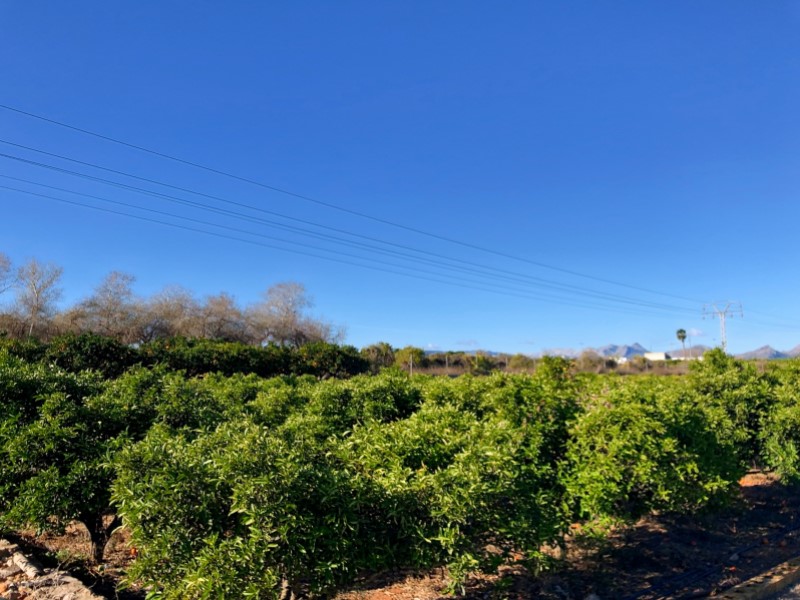 Plot / Land, La Xara - La Sella