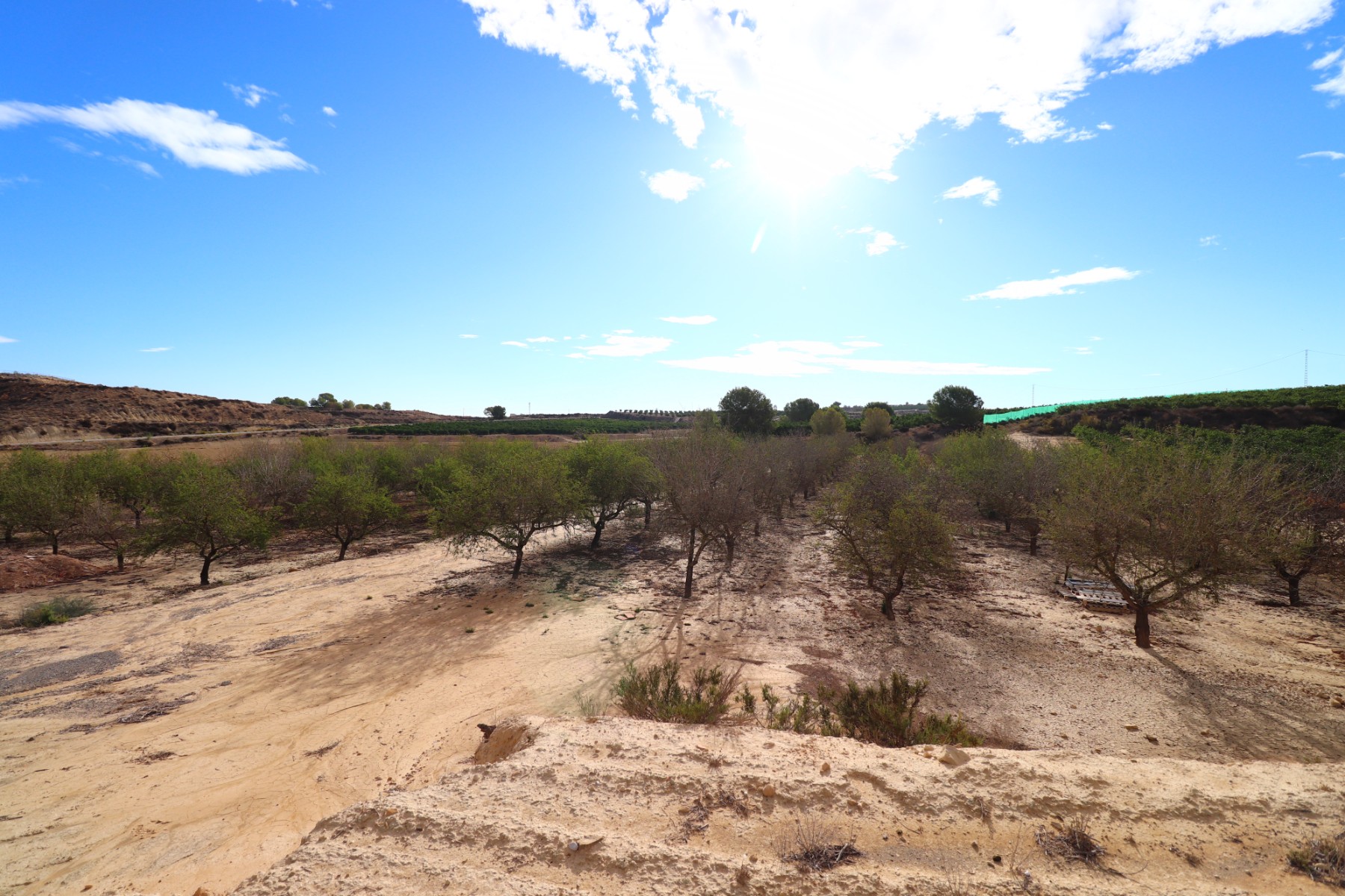 Plot / Land, Torremendo - Country