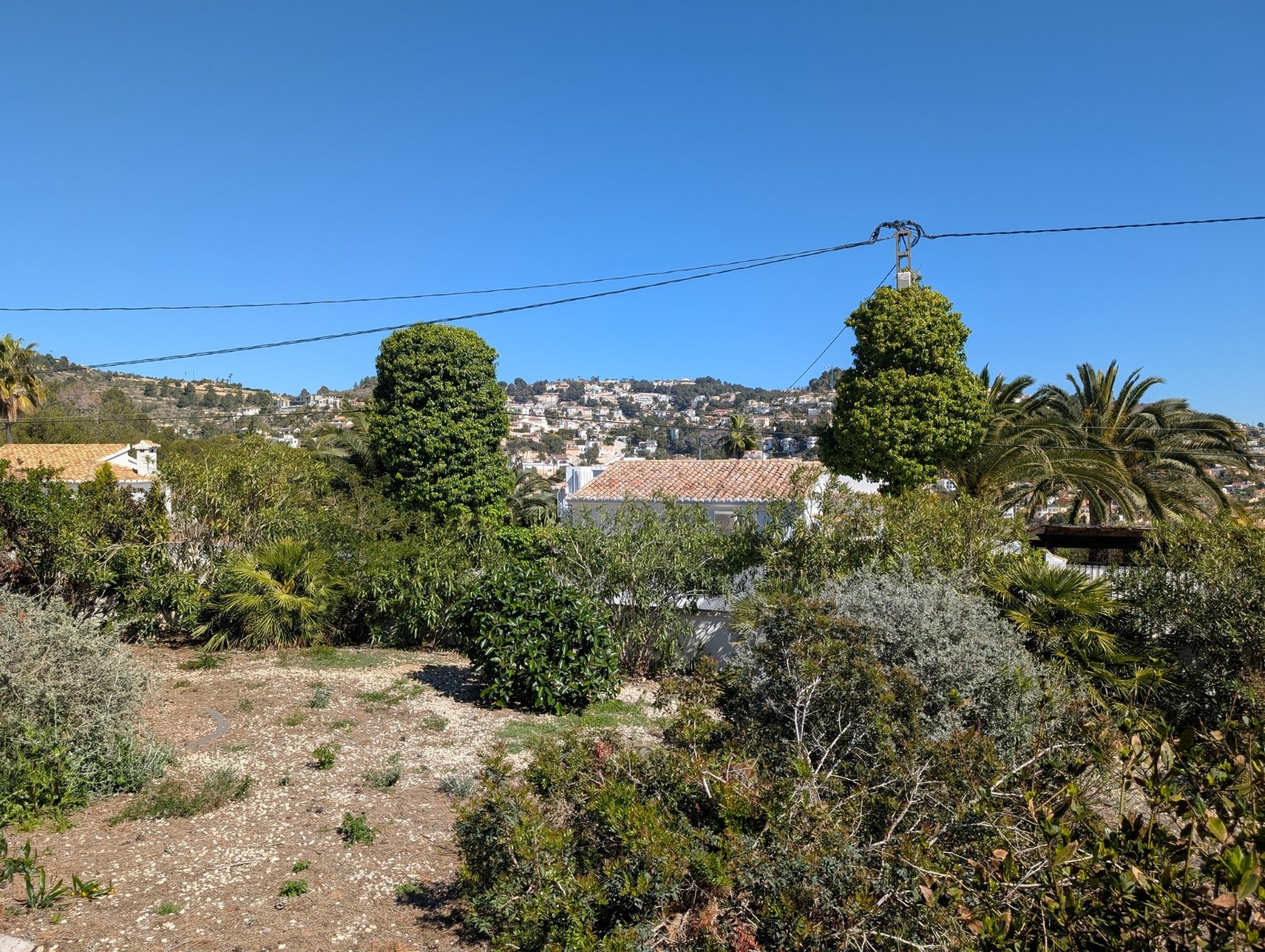 Plot / Land, Buenavista
