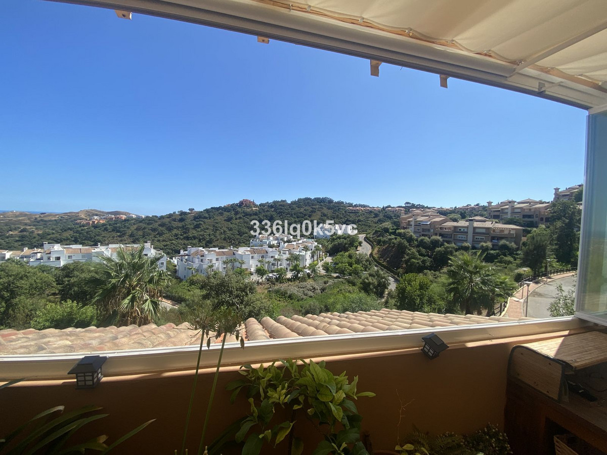 Penthouse, Ojén