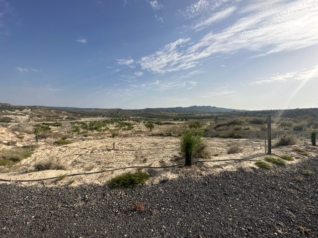 Plot / Land, Torremendo