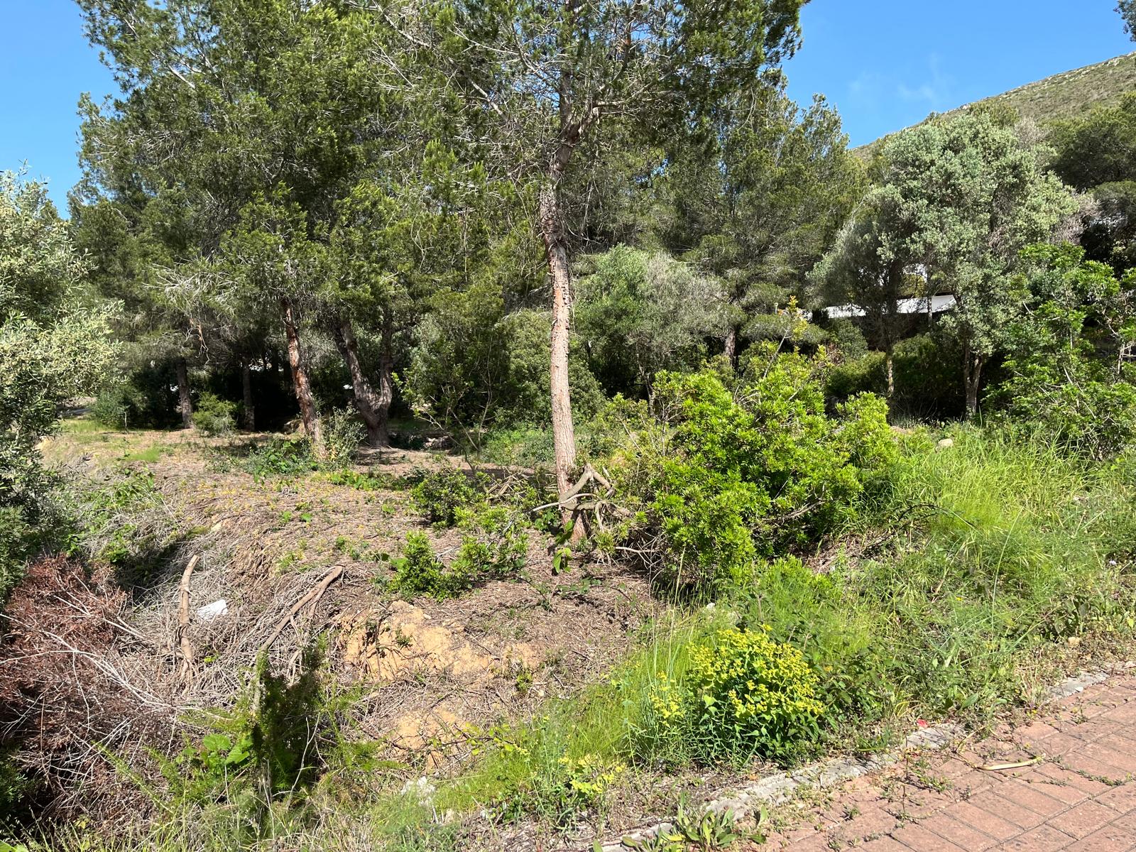 Plot / Land, Cap Martí - El Tossalet - Pinomar