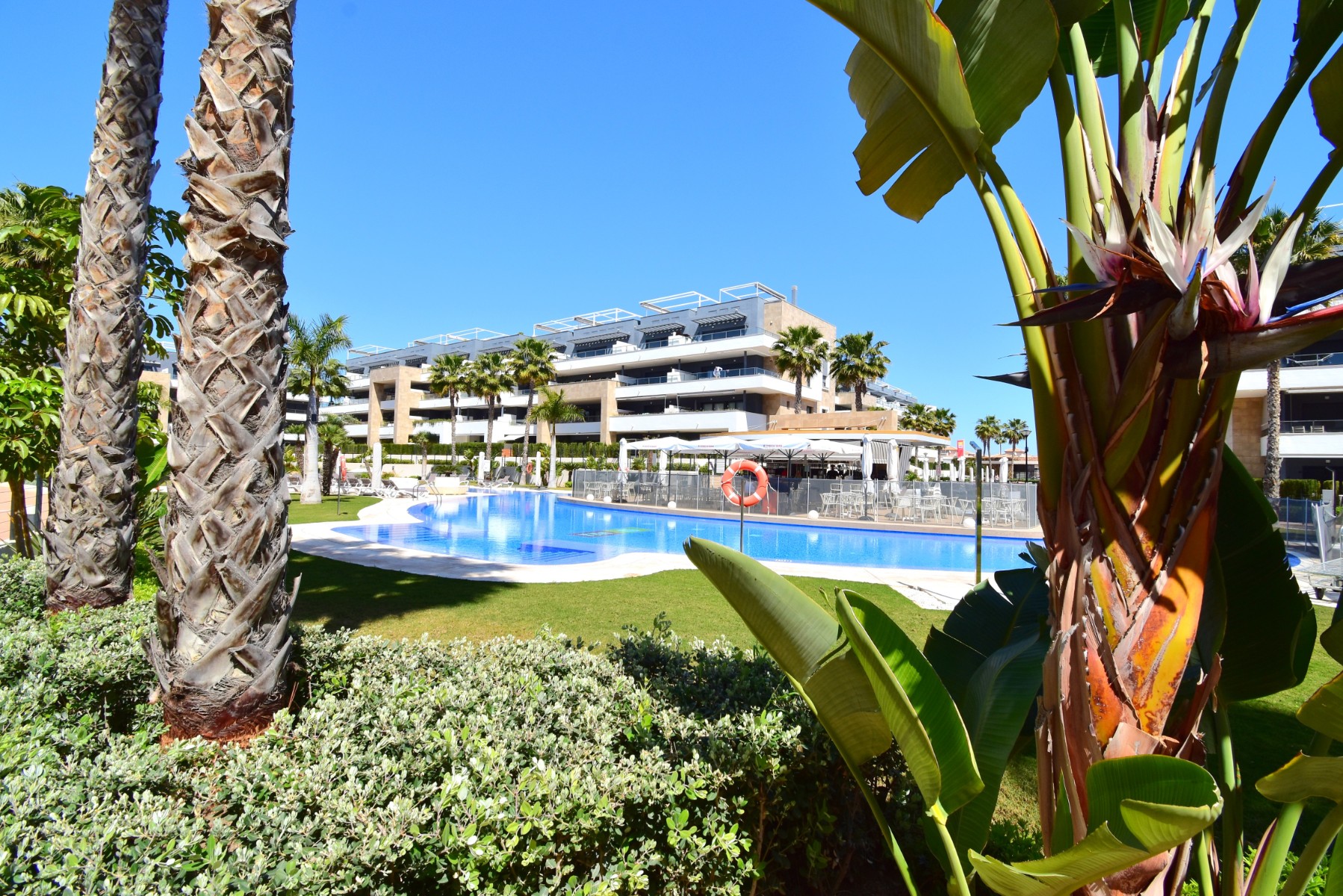 Apartment, Playa Flamenca