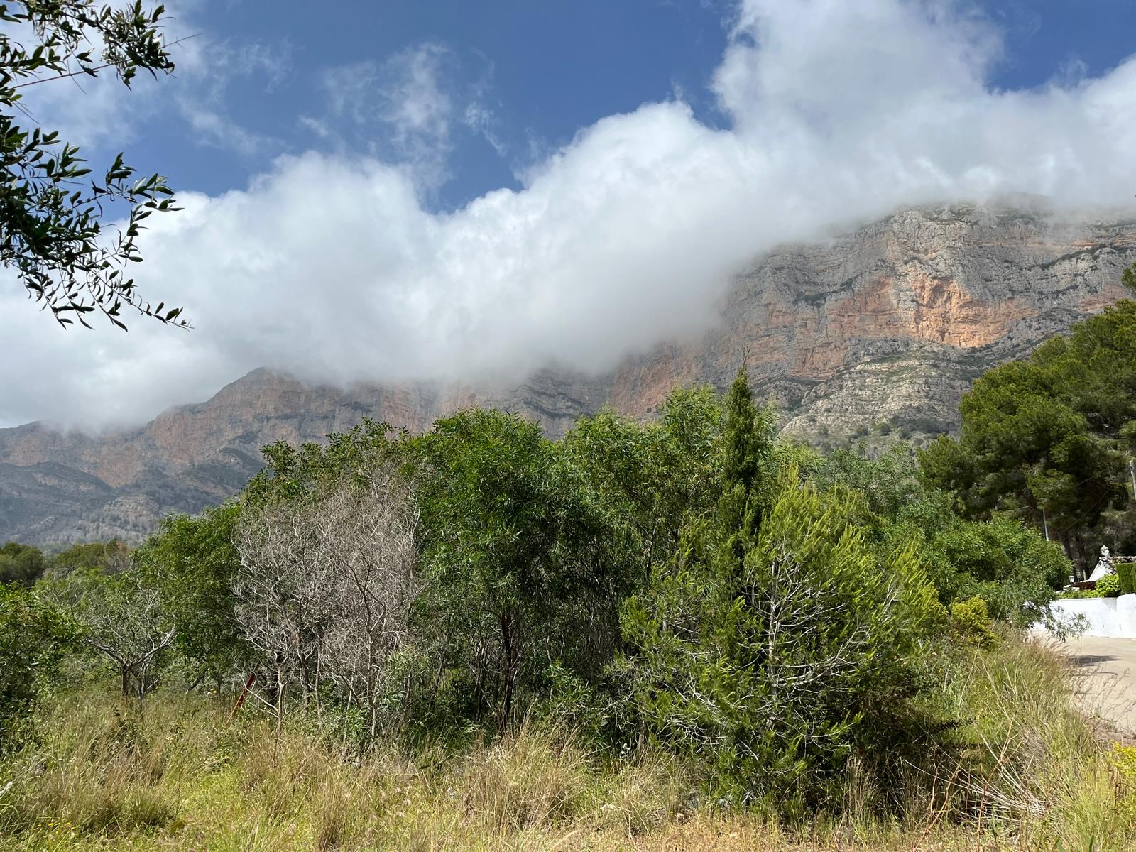 Plot / Land, Montgó - Ermita