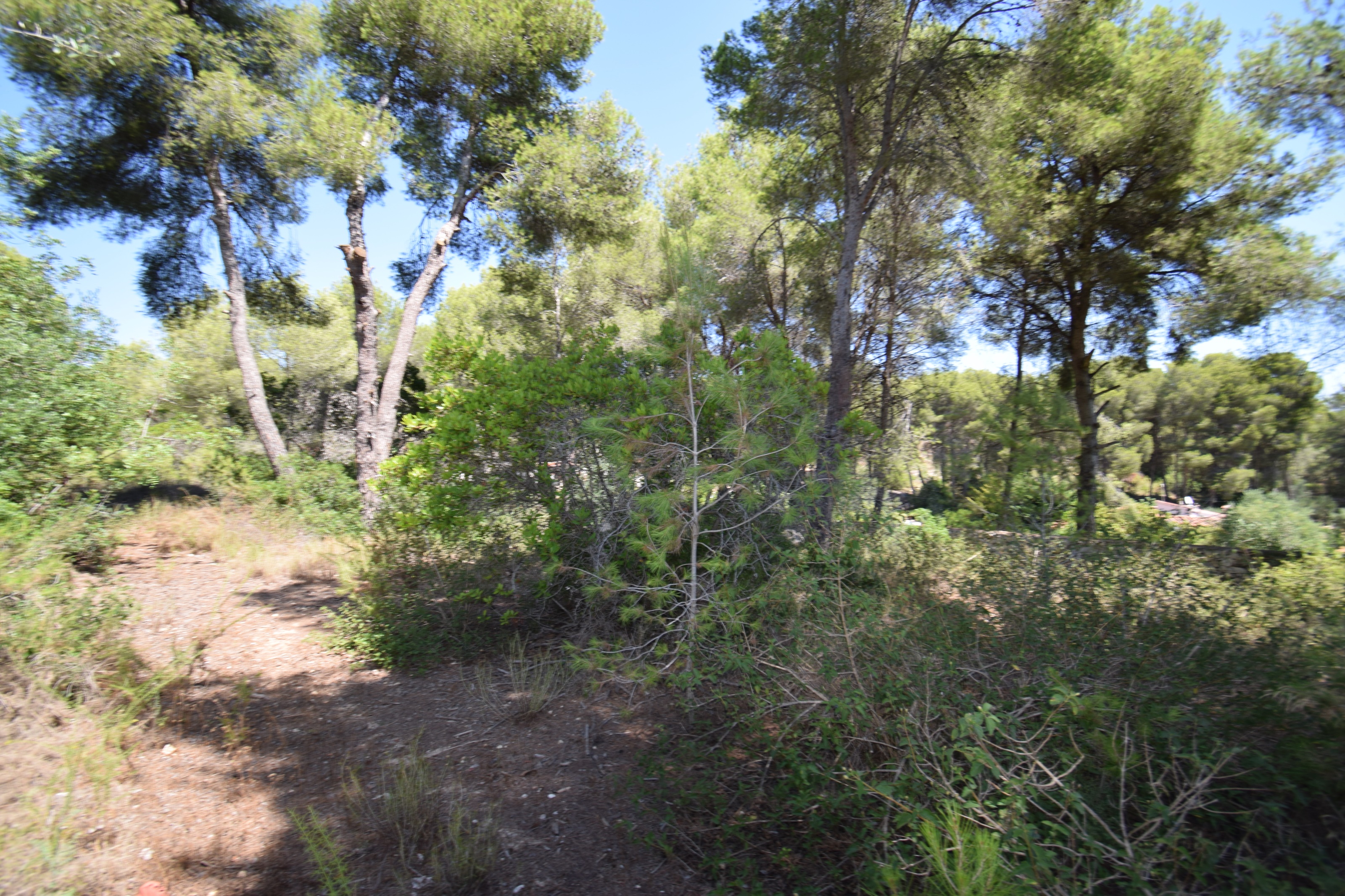 Country house, Partides comunes - Adsubia