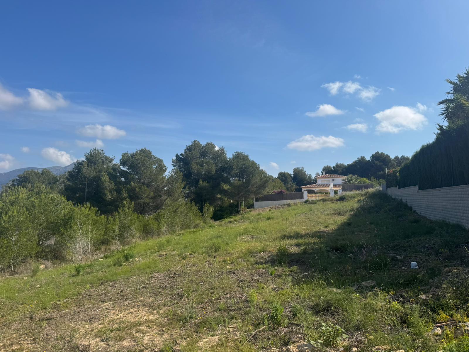Plot / Land, Partides comunes - Adsubia