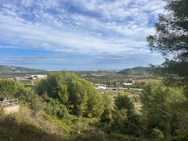 Plot / Land, Ador