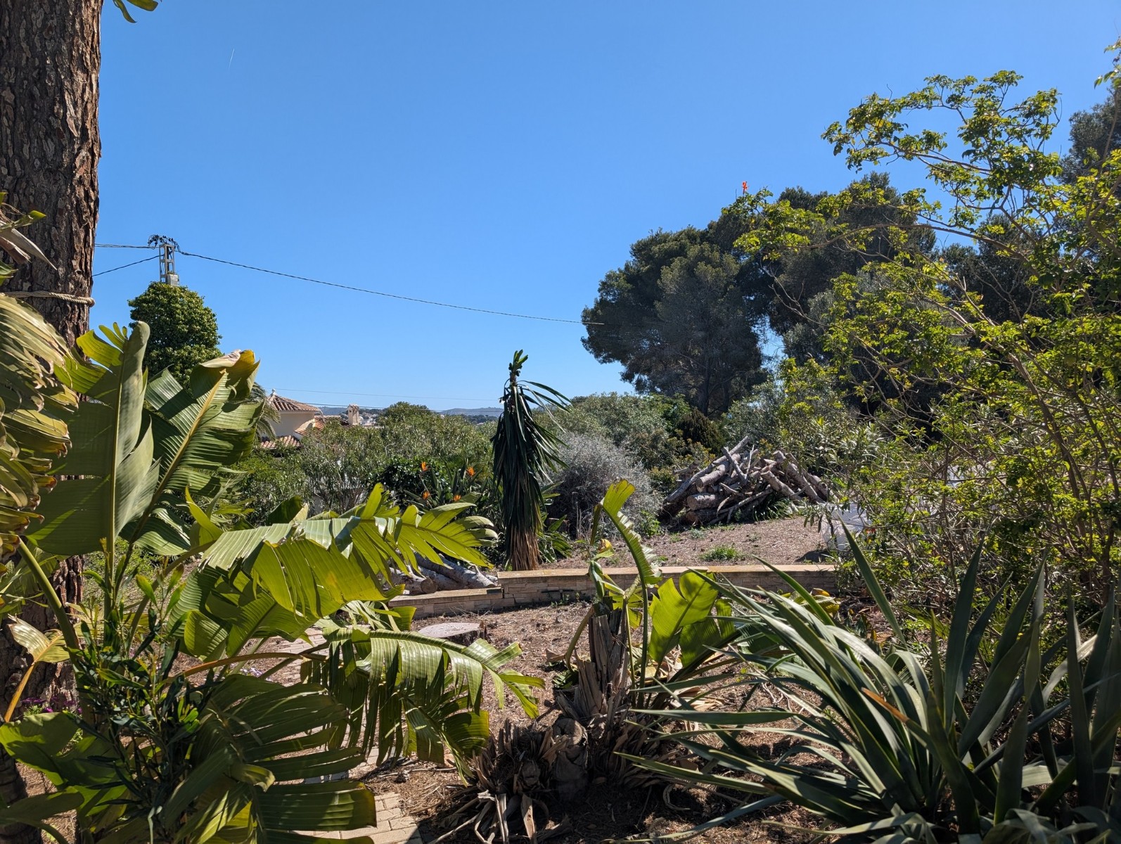 Plot / Land, Buenavista