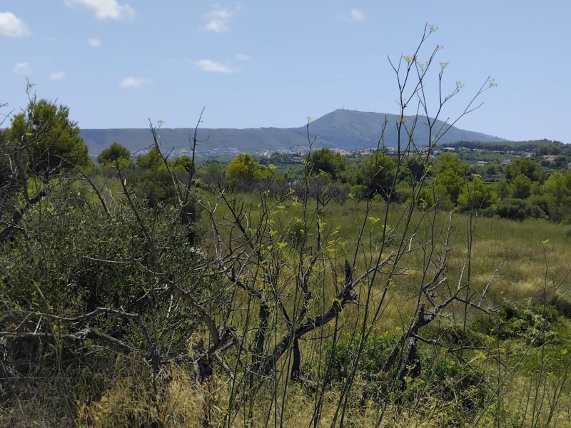 Plot / Land, Partides comunes - Adsubia