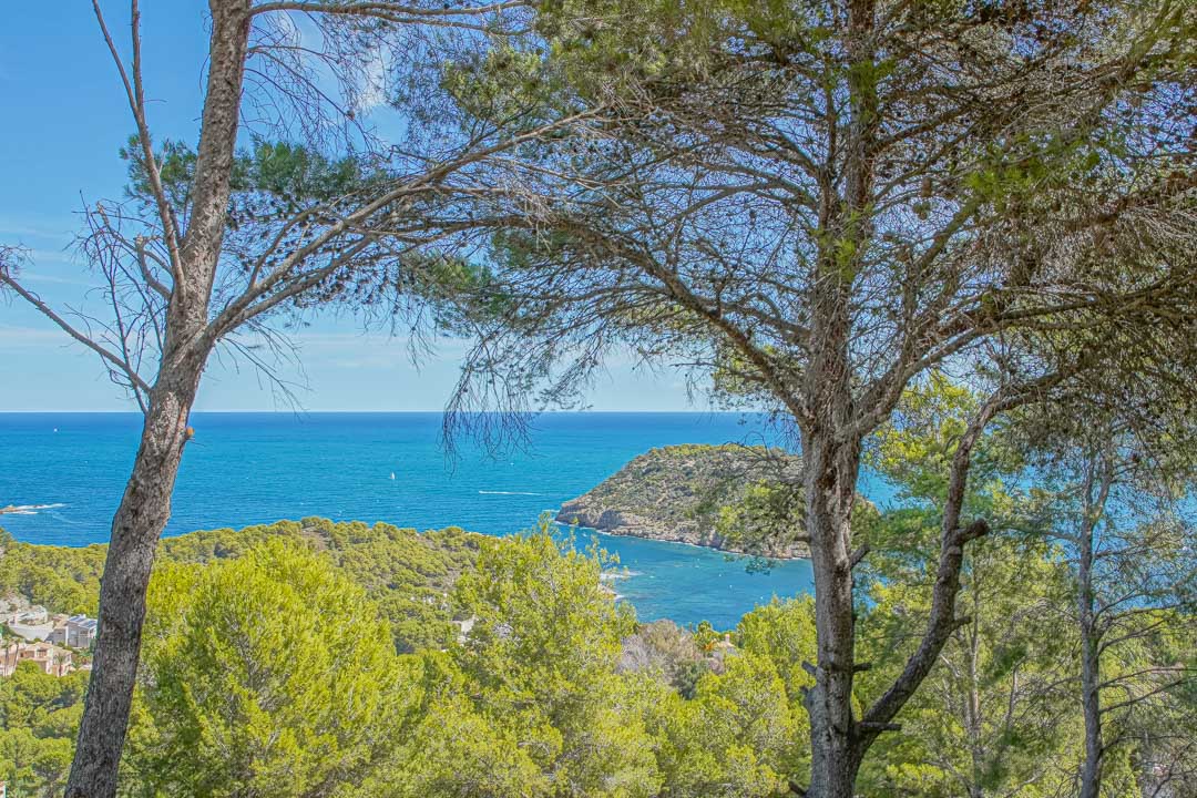 Villa, Javea