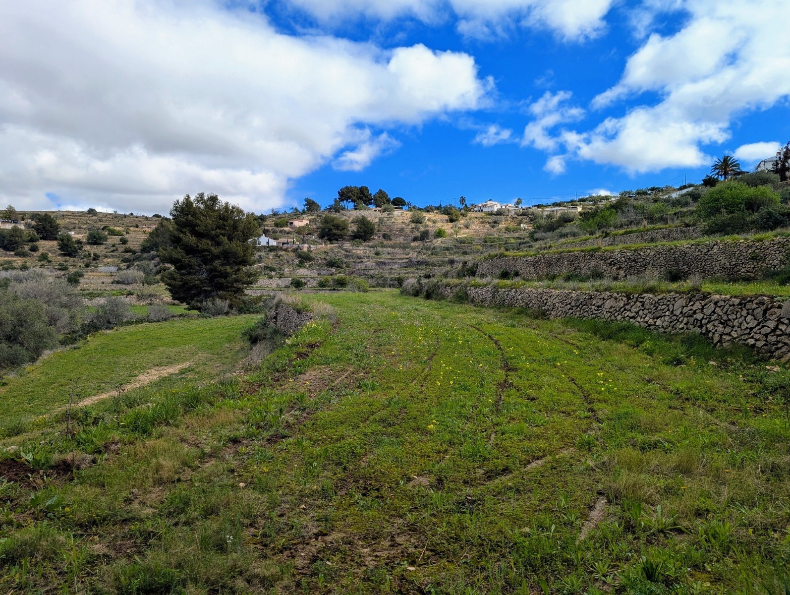 Plot / Land, Partida Biasner