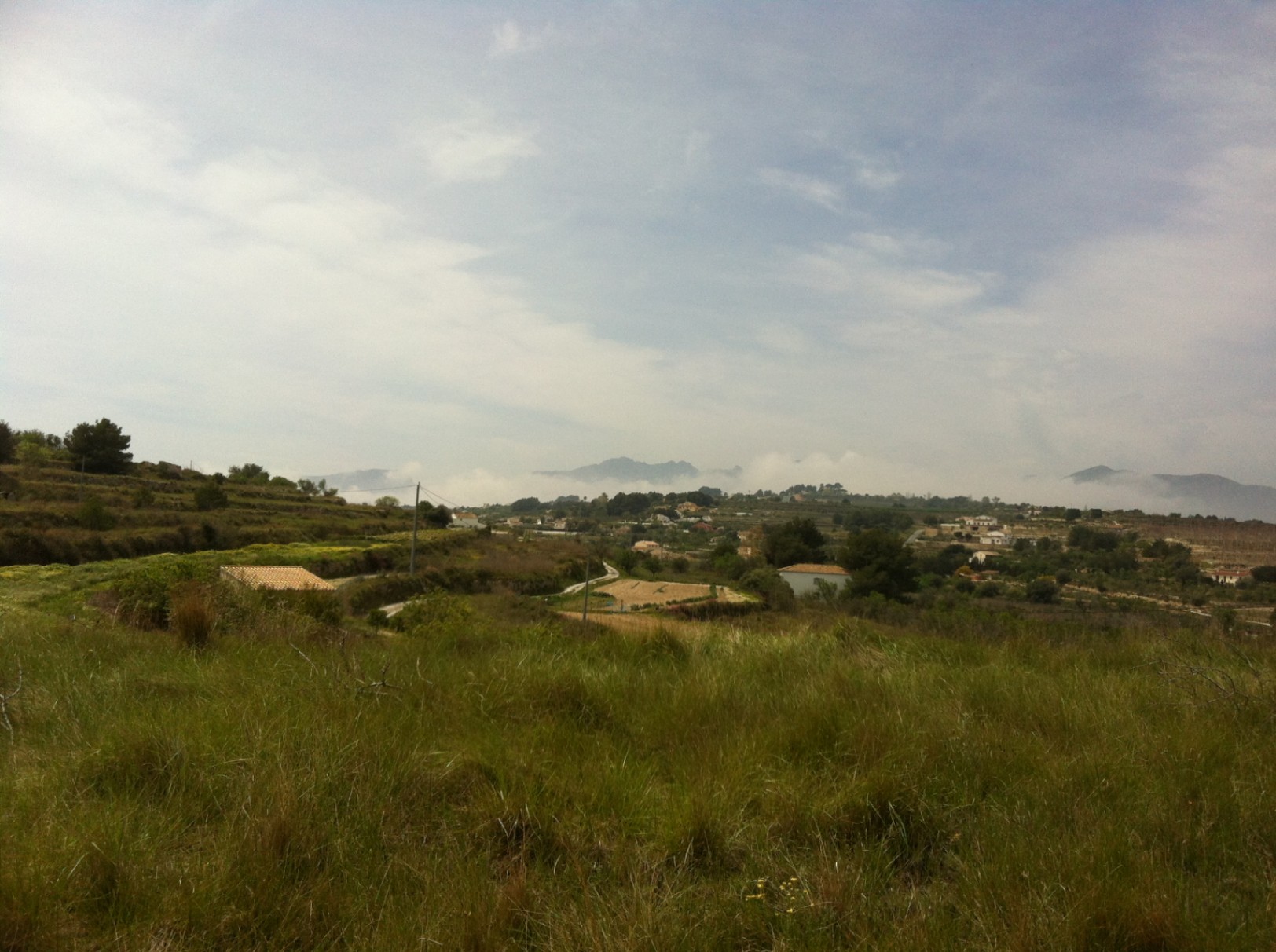 Plot / Land, Partida Berdica Blanca