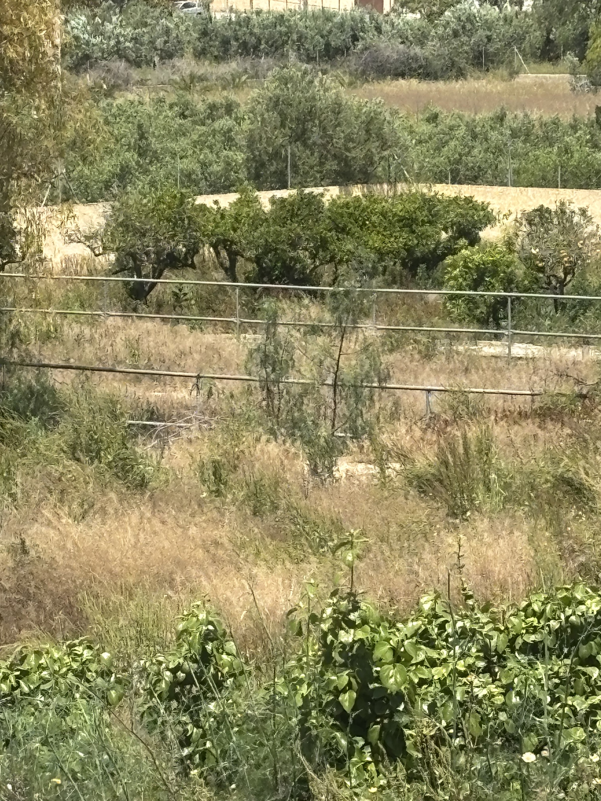 Country house, Altea la Vella