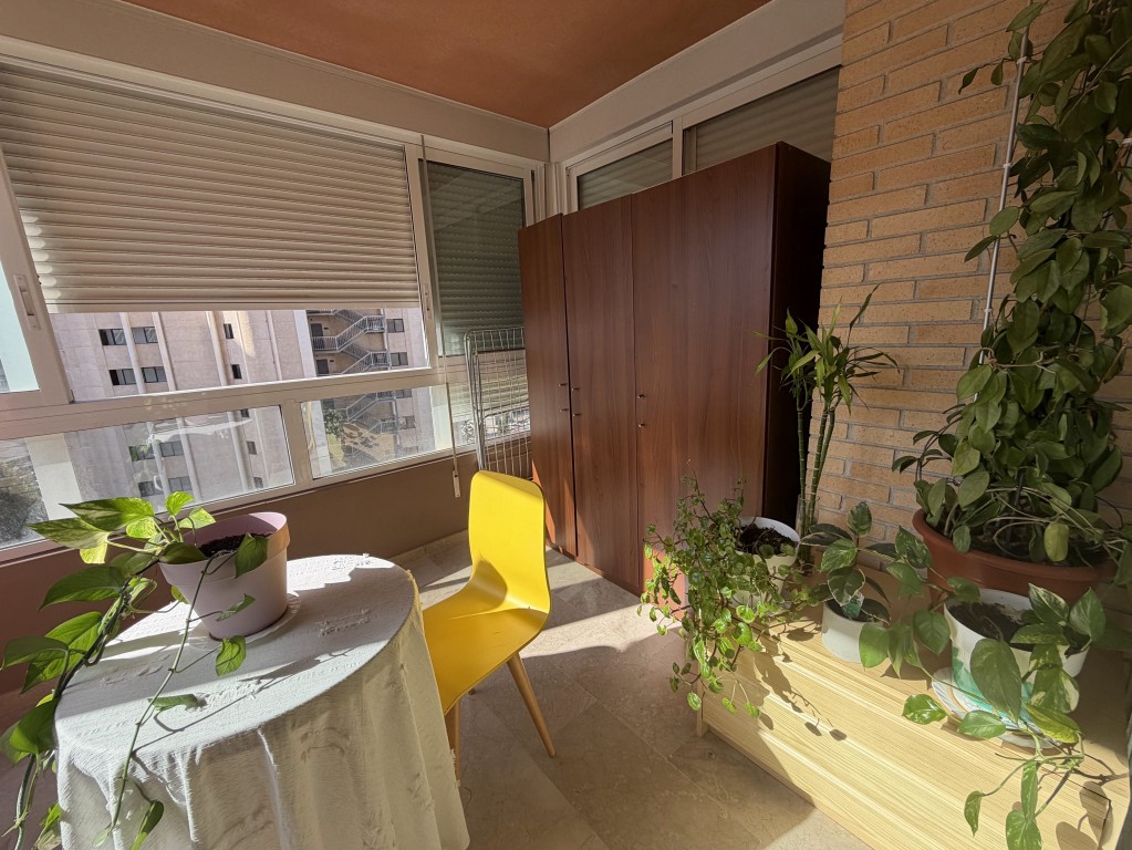 Apartment, Benidorm