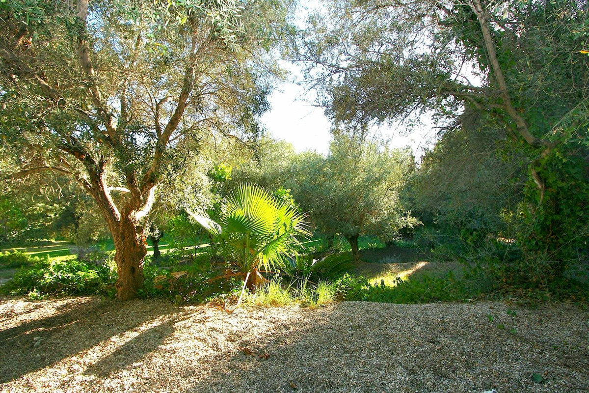 Plot / Land, Mijas