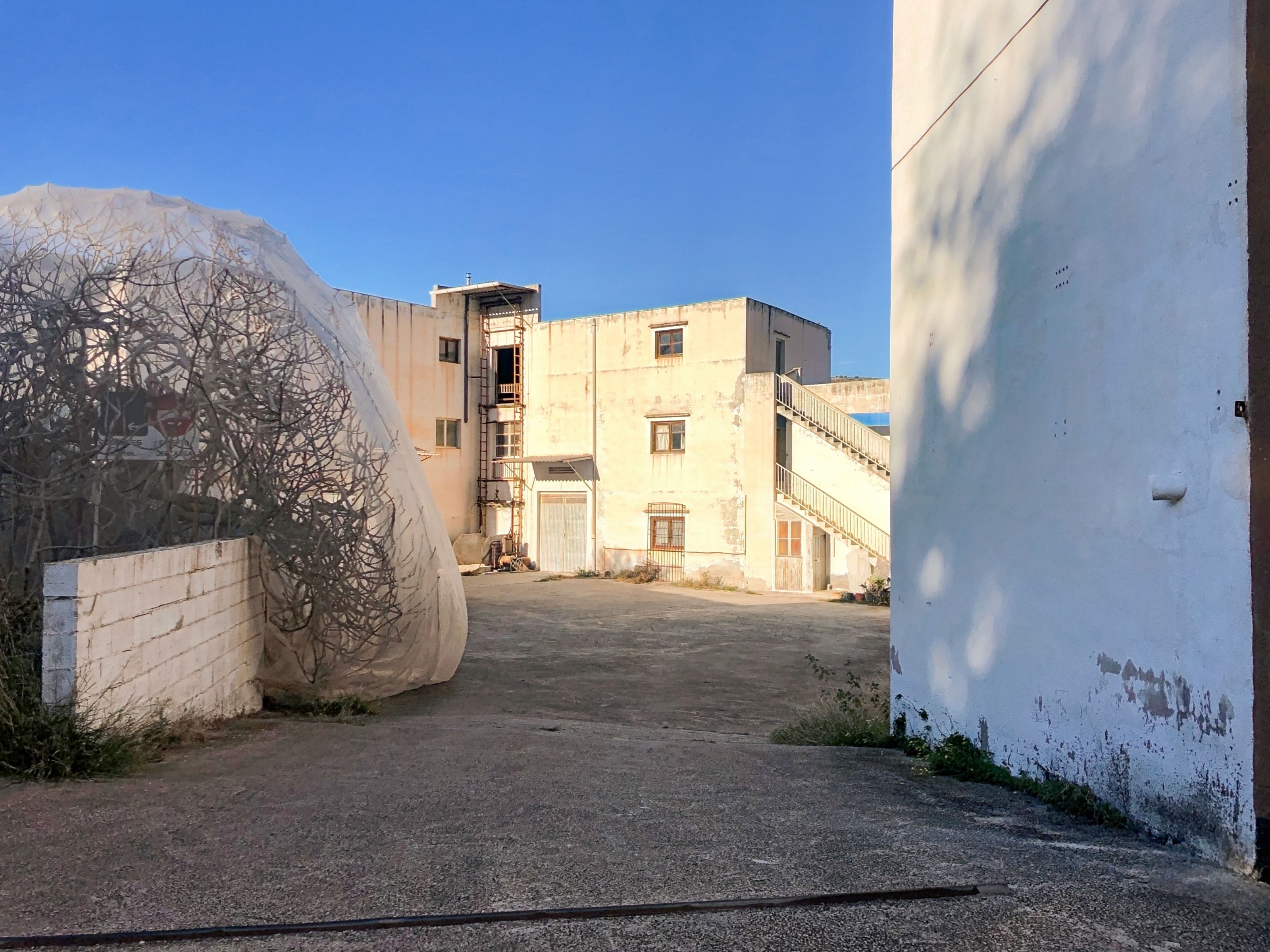 Commercial, Centro ciudad